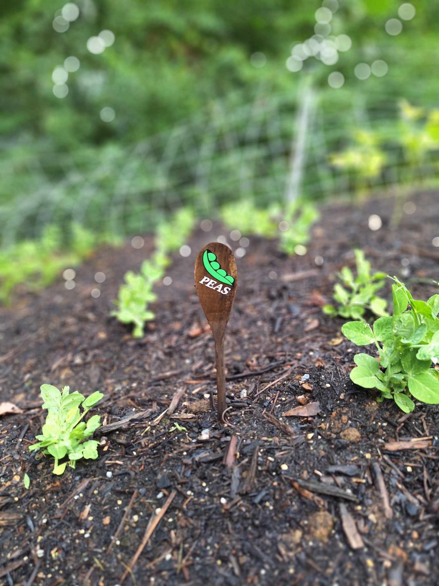 Garden Markers