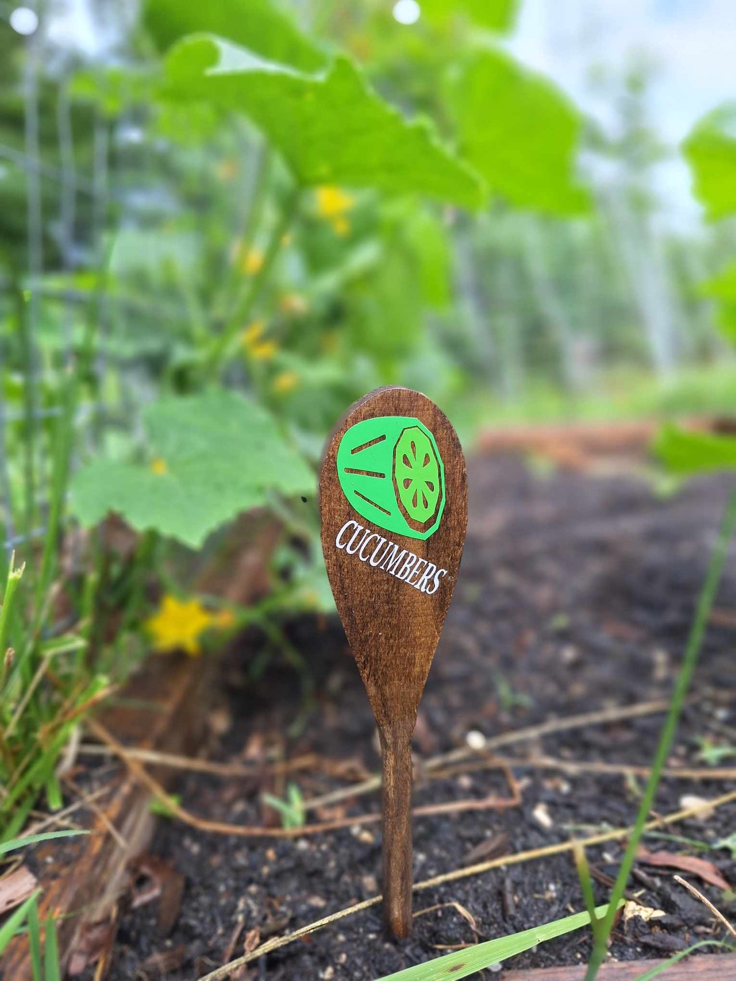 Garden Markers