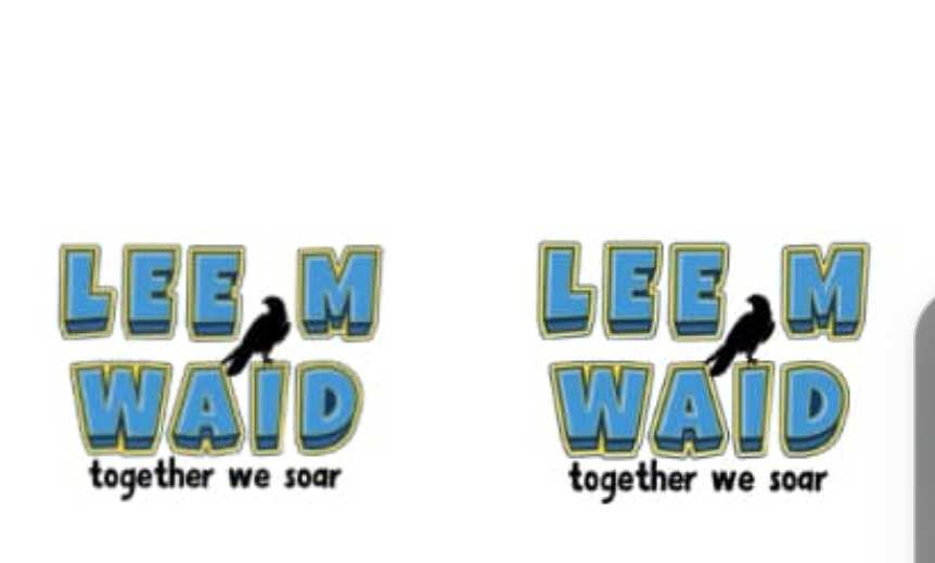 LMW Earrings